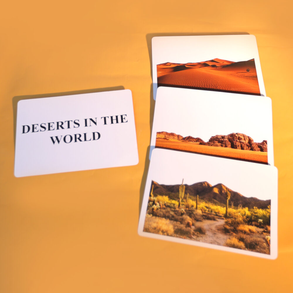 DESERTS IN THE WORLD - Image 4