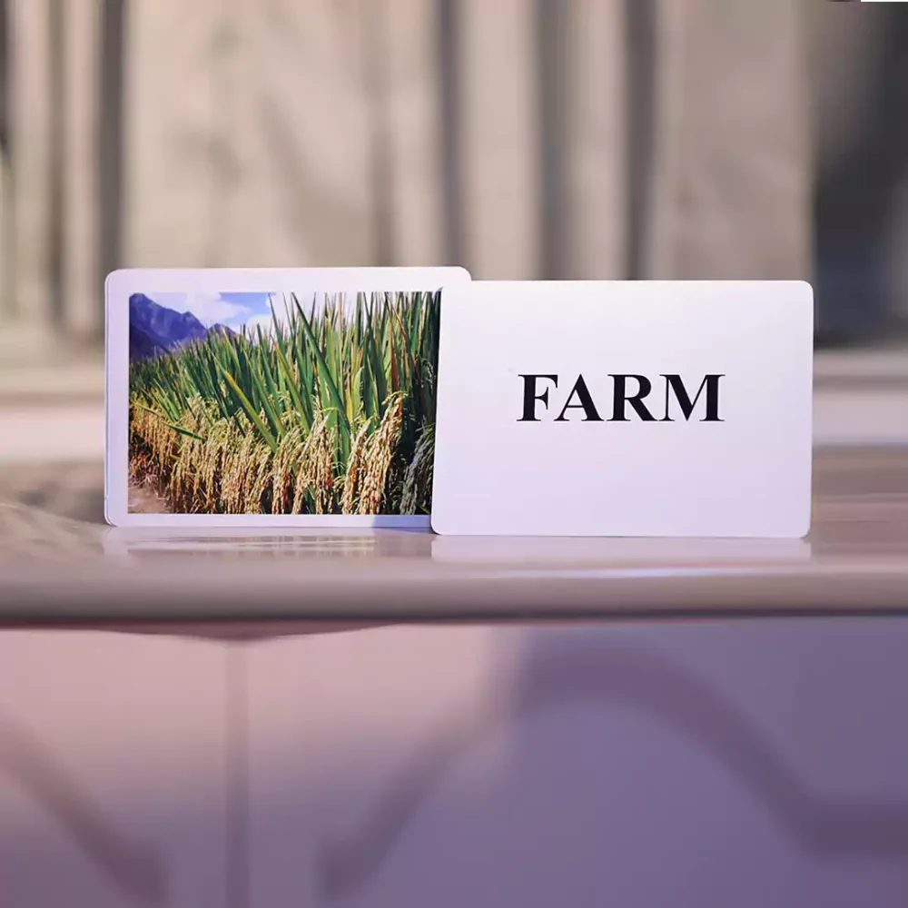 FARM - Image 2