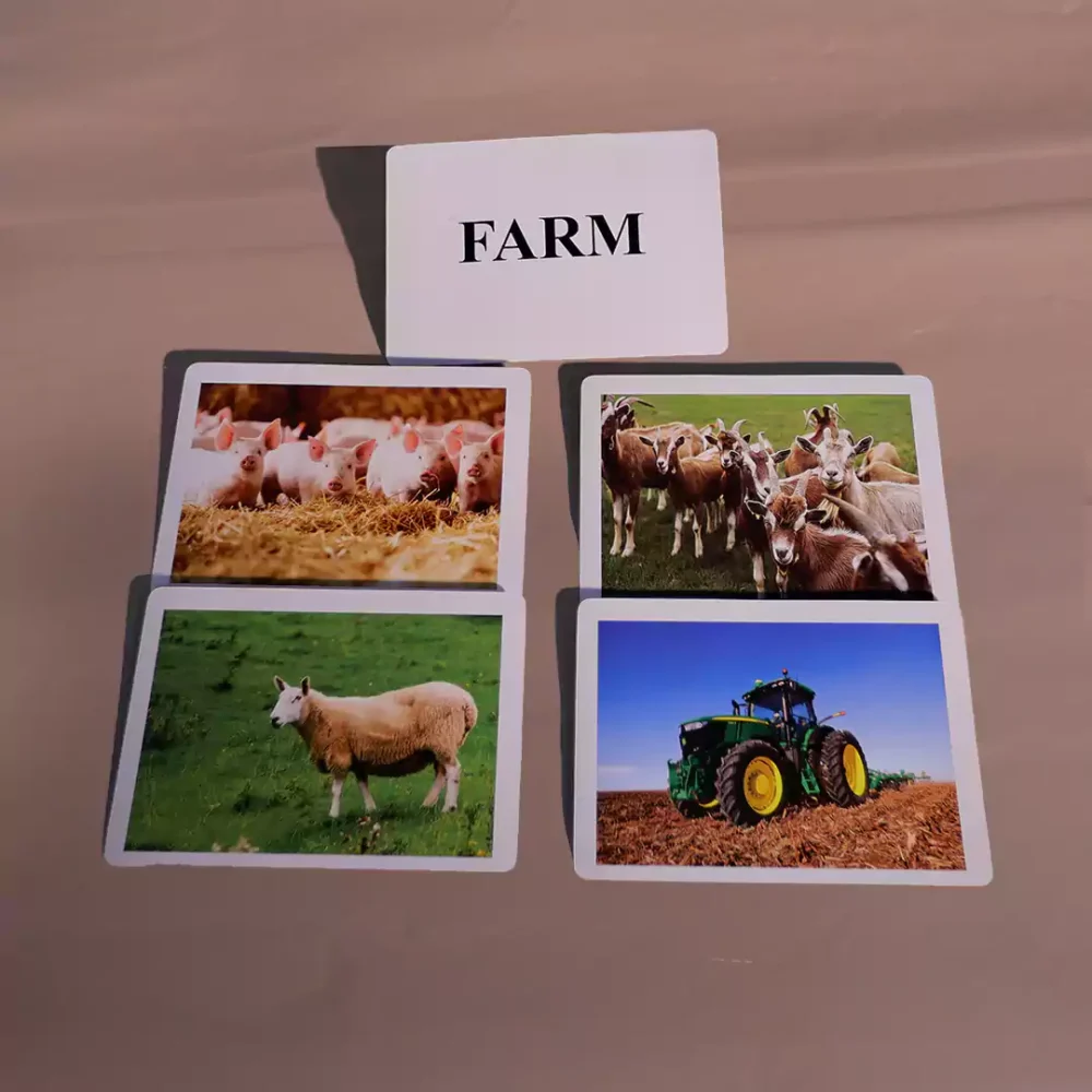 FARM - Image 4