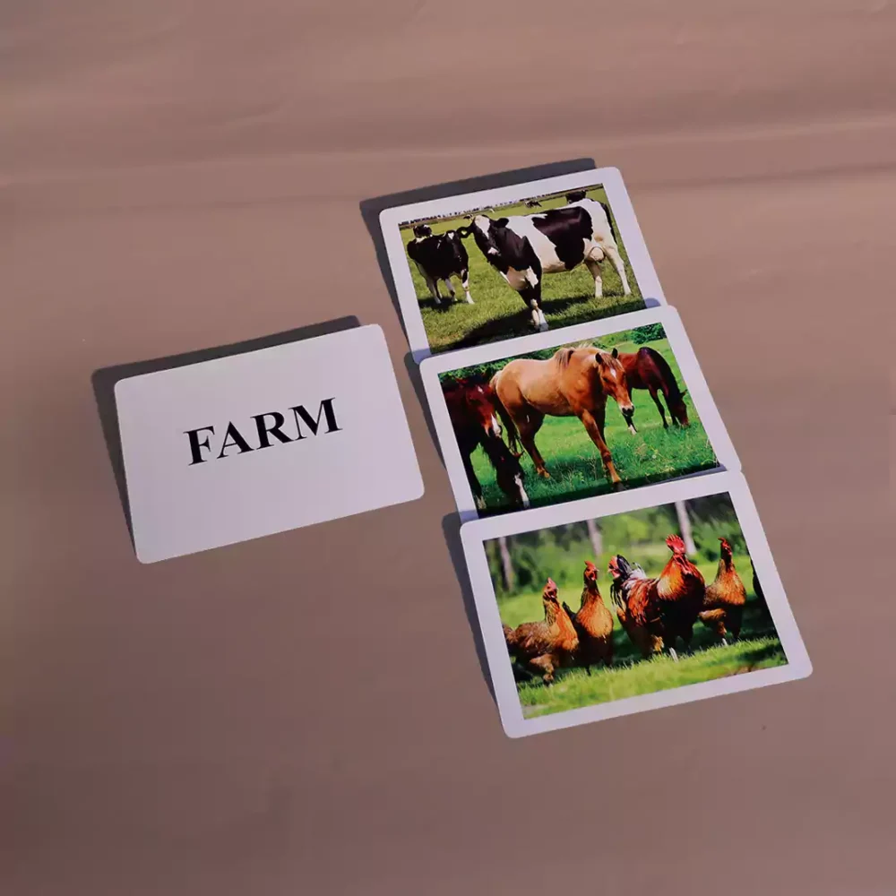 FARM - Image 3