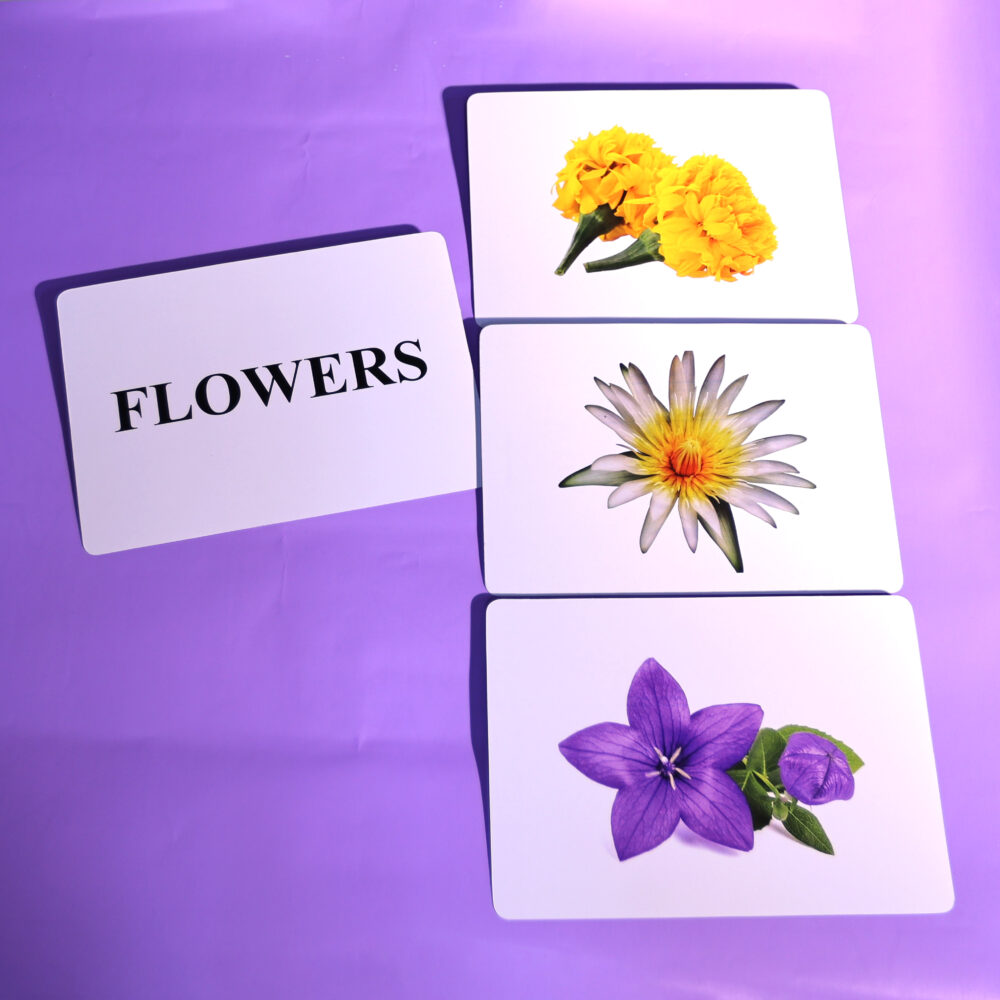 FLOWERS - Image 4