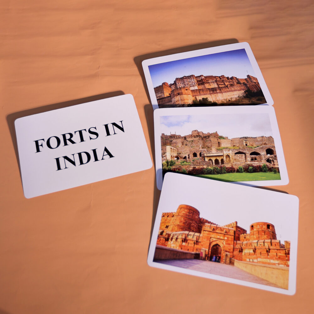 FORTS IN INDIA - Image 4