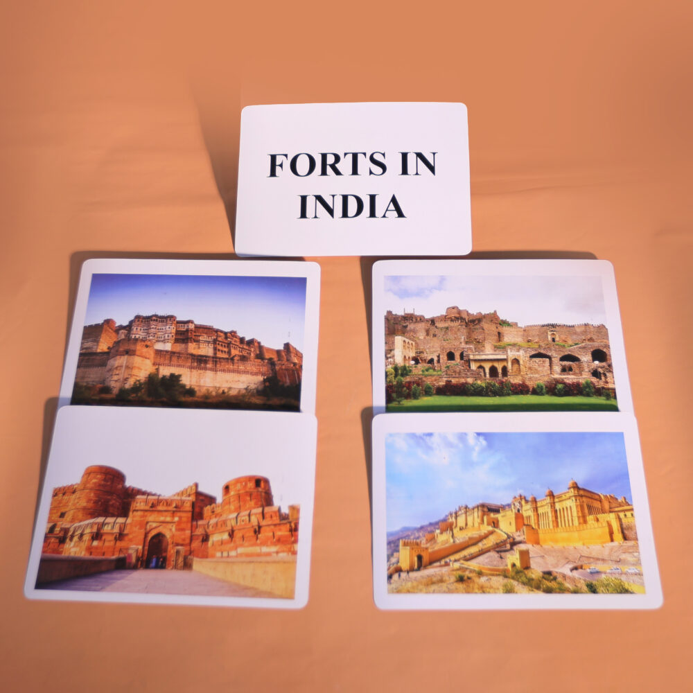 FORTS IN INDIA - Image 3