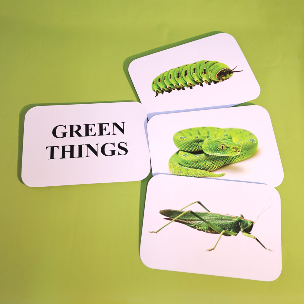 GREEN THINGS - Image 4