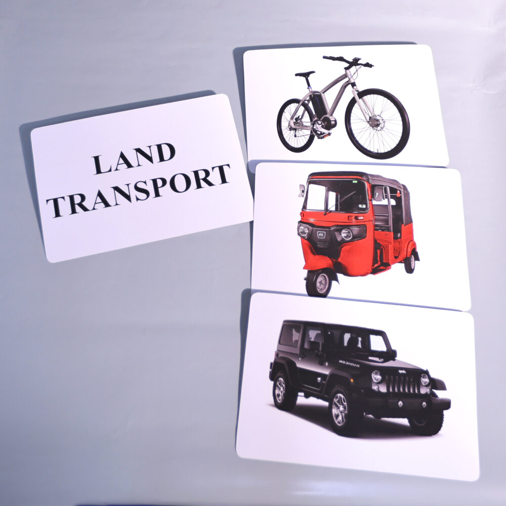 LAND TRANSPORT - Image 2