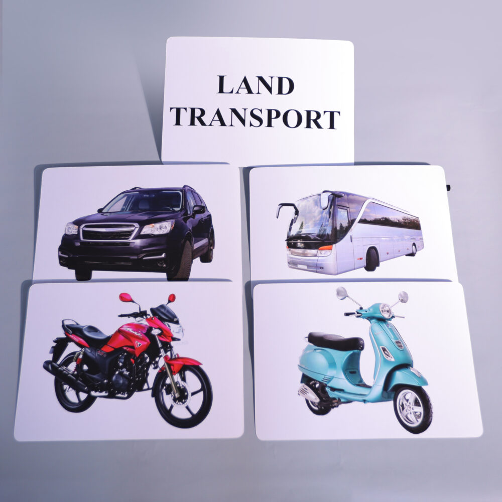 LAND TRANSPORT - Image 3