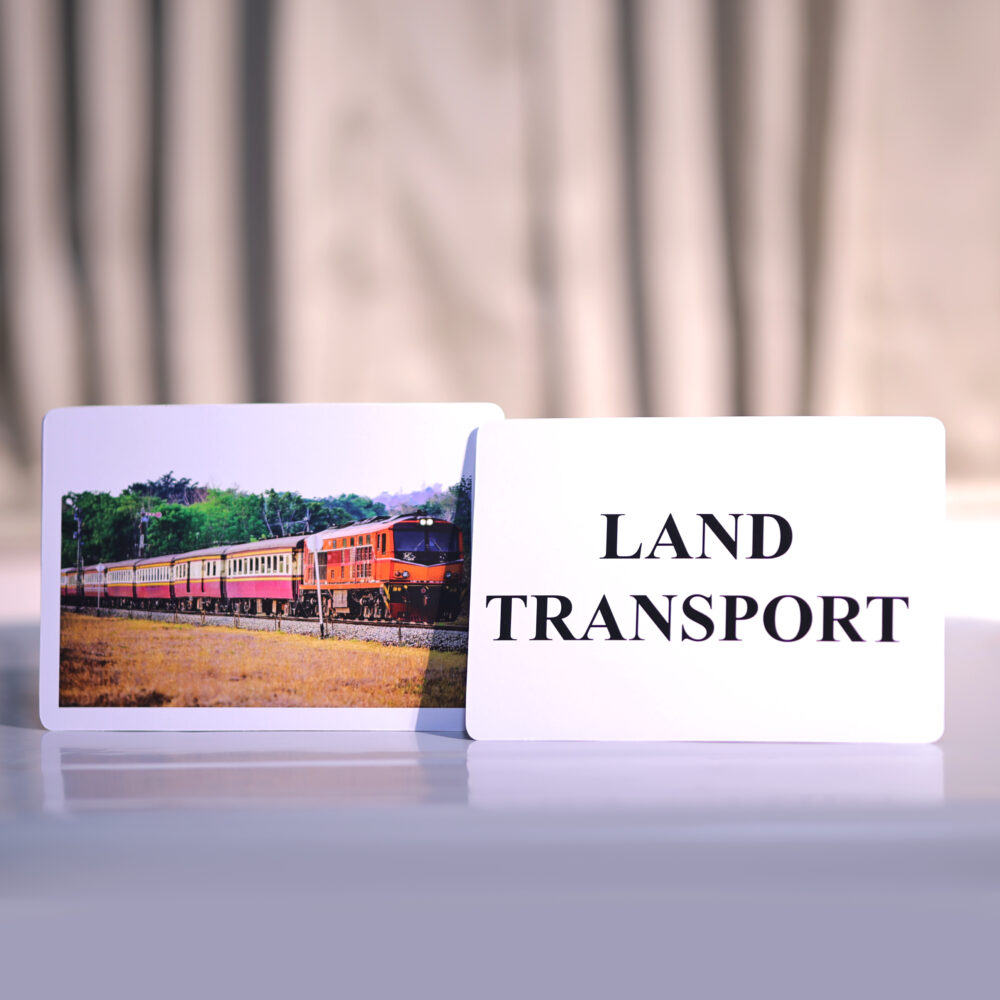 LAND TRANSPORT - Image 4