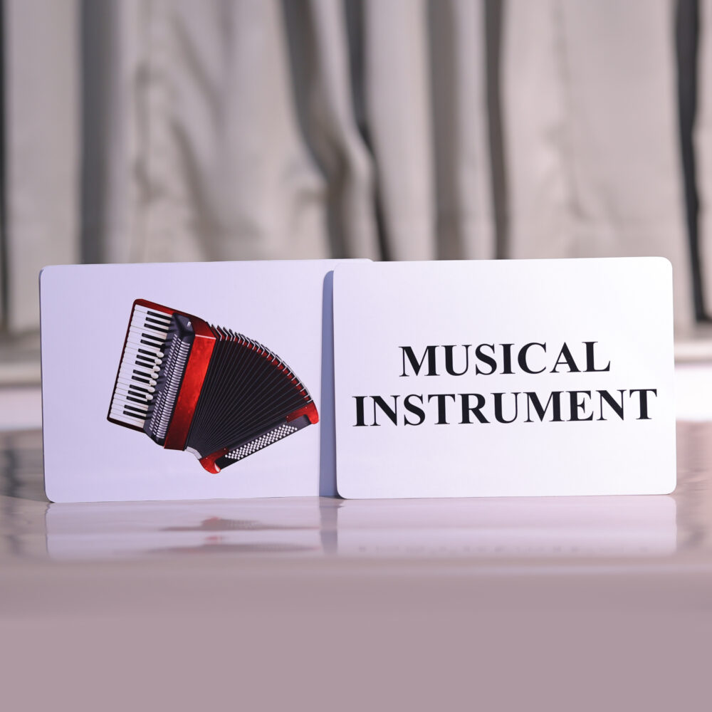 MUSICAL INSTRUMENT - Image 2