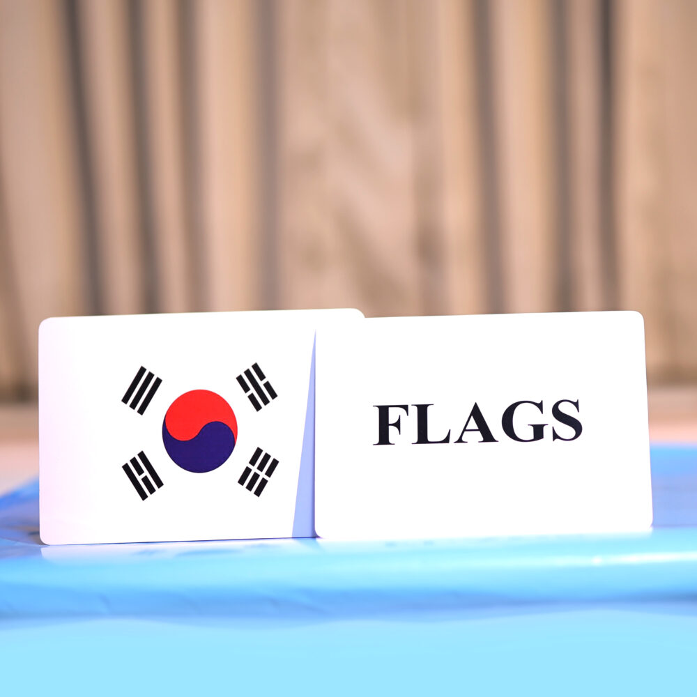 FLAGS - Image 2