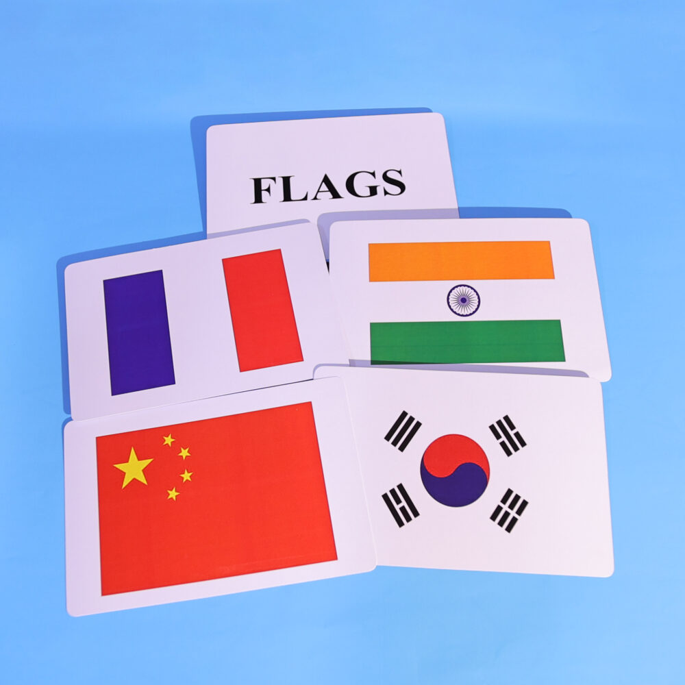 FLAGS - Image 4