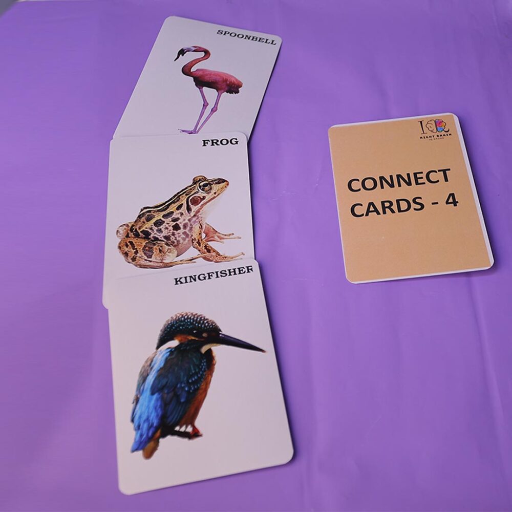 Connect Cards 4 - Image 4