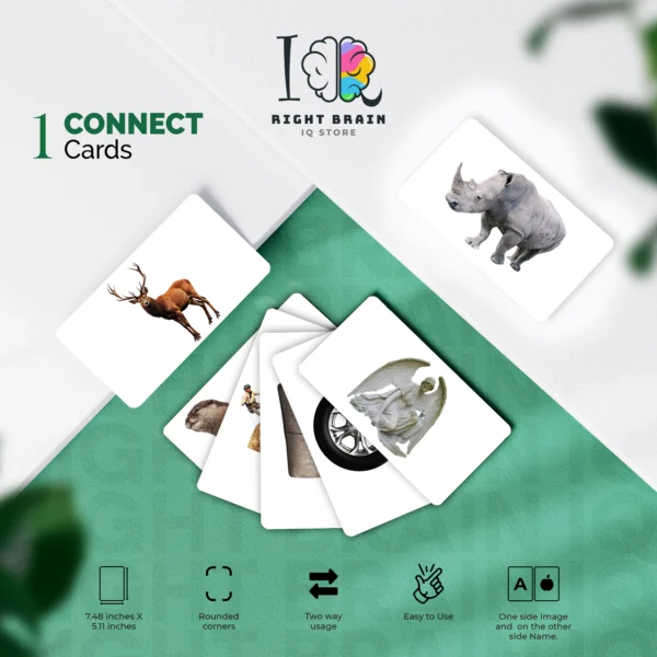 Connect Cards 1