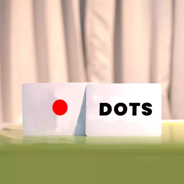 Right Brain IQ’s DOTS Jumbo Flash Cards