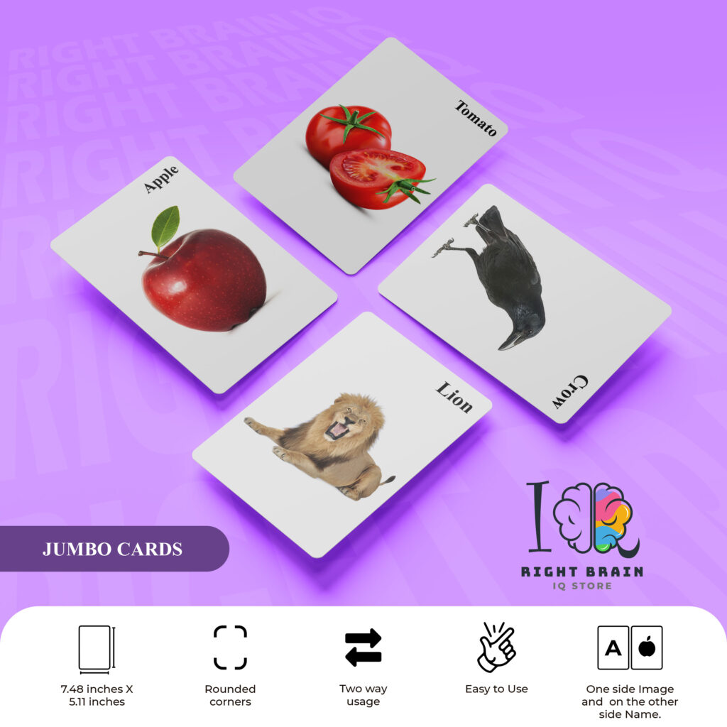 Educational Flash Cards