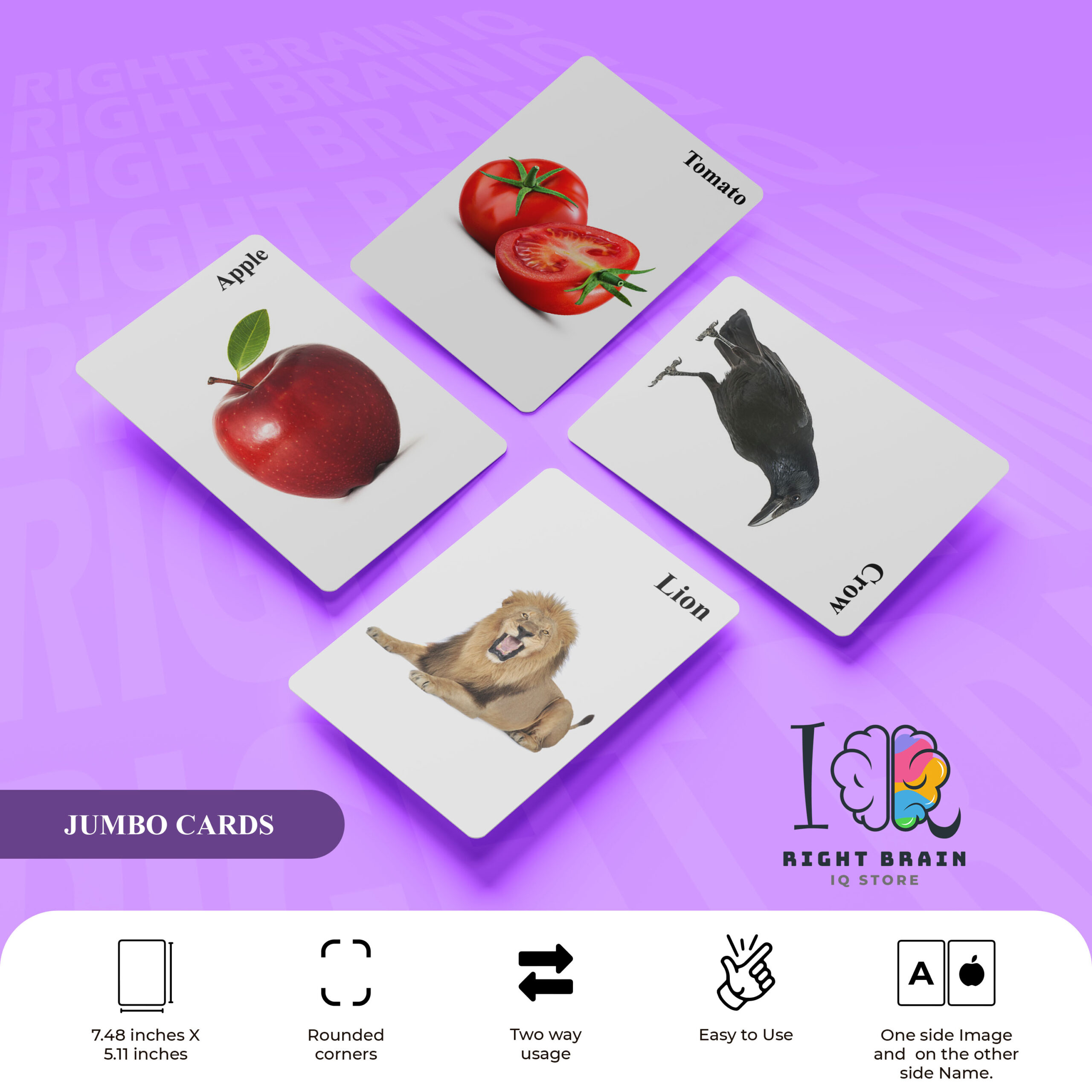 Educational Flash Cards