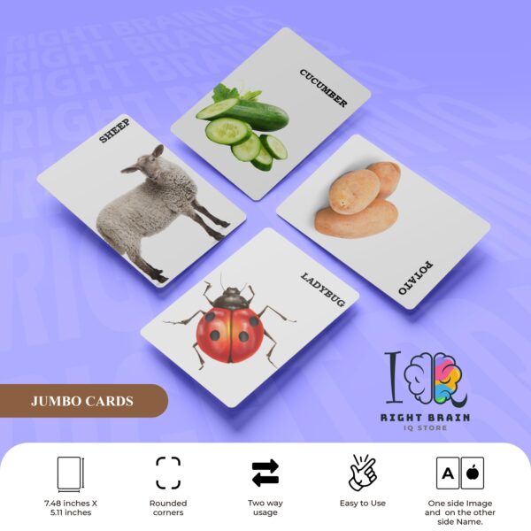JUMBO CARDS